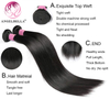 Angelbella Queen Doner Virgin Hair Virgin Vendedores de cabello humano crudo 